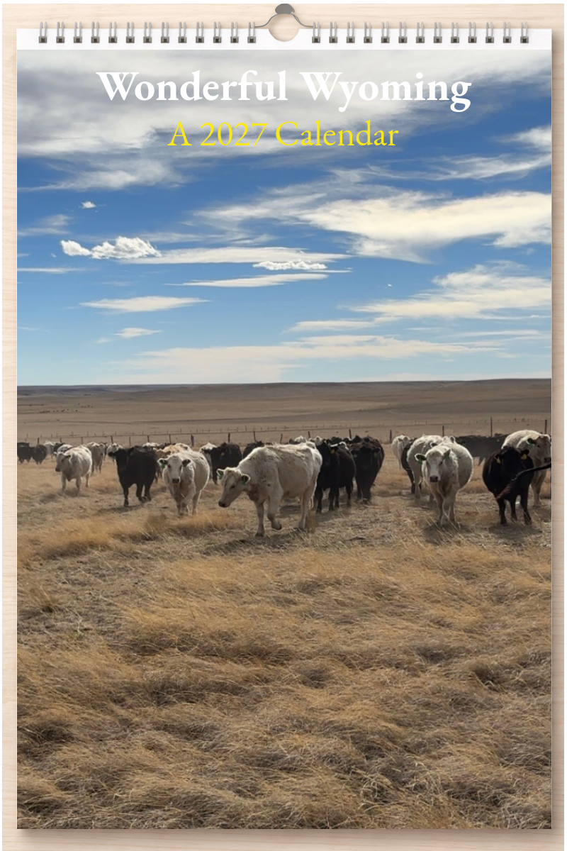 Wonderful Wyoming: A 2027 Calendar