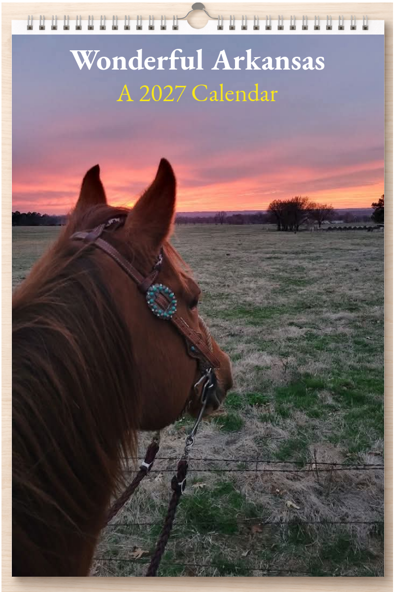Wonderful Arkansas: A 2027 Calendar