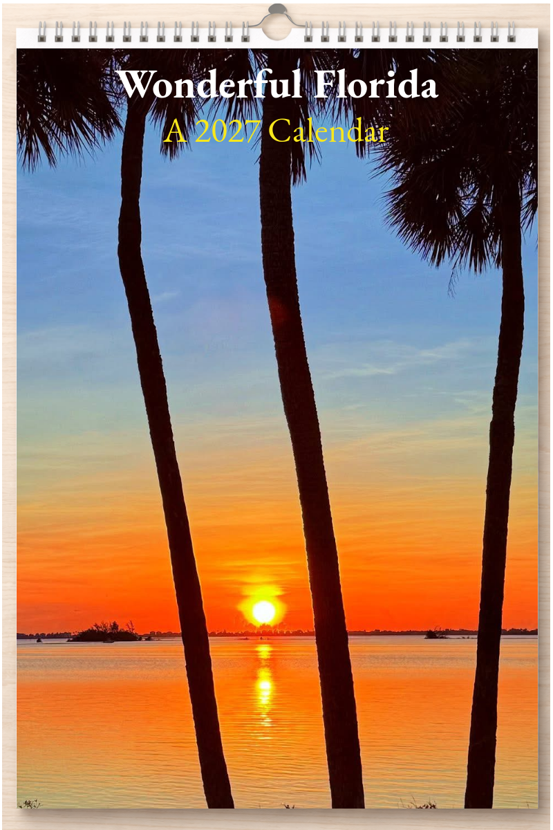 Wonderful Florida: A 2027 Calendar