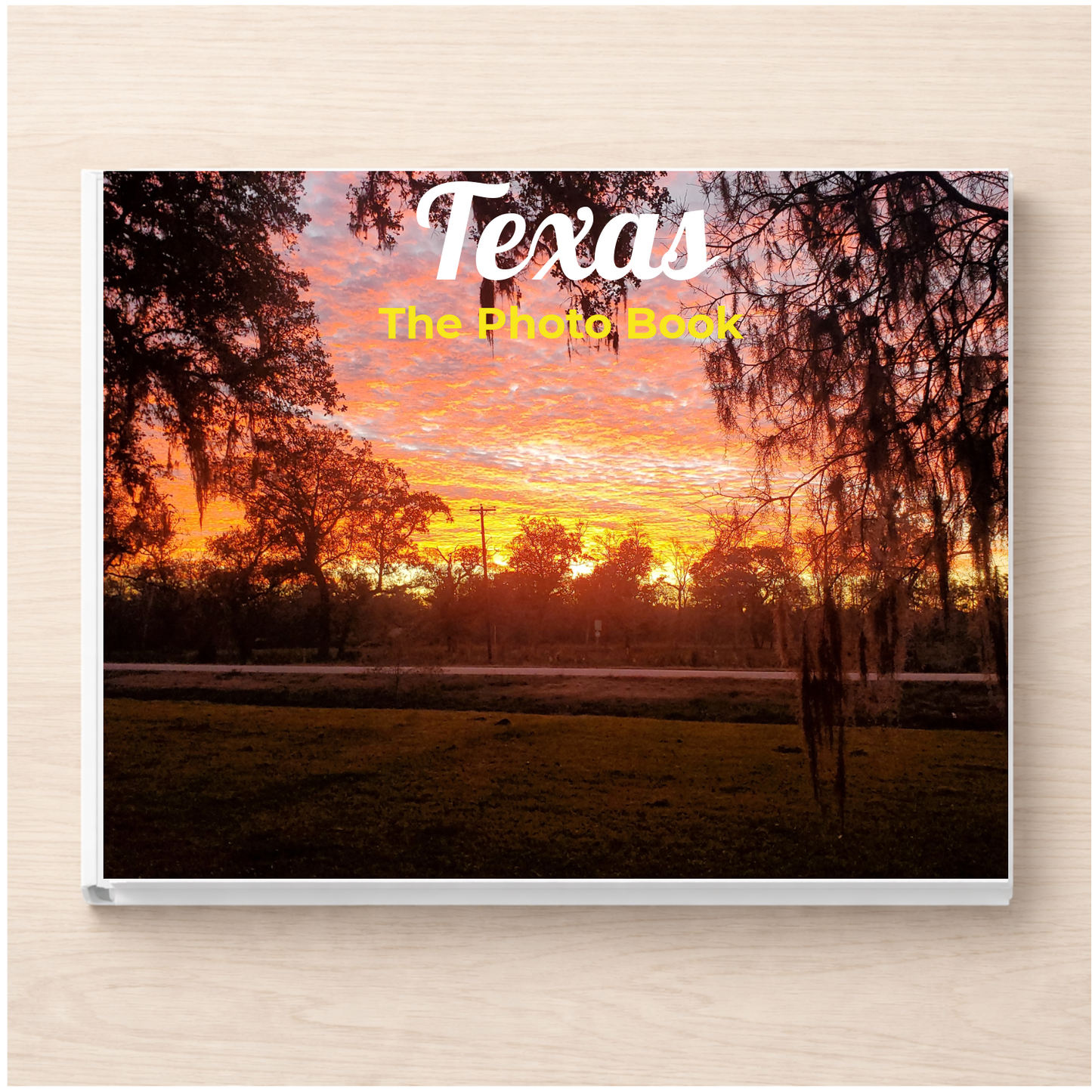 Texas: The Photo Book