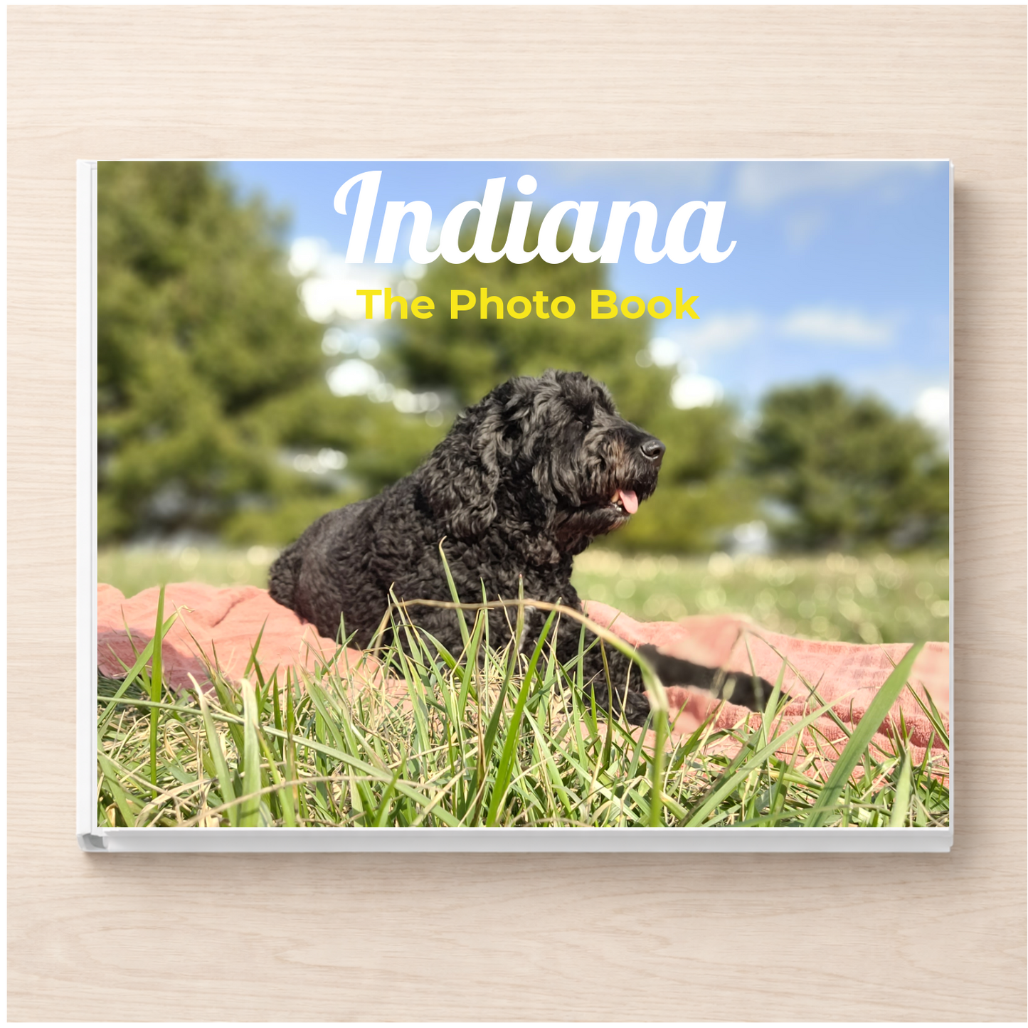 Indiana: The Photo Book