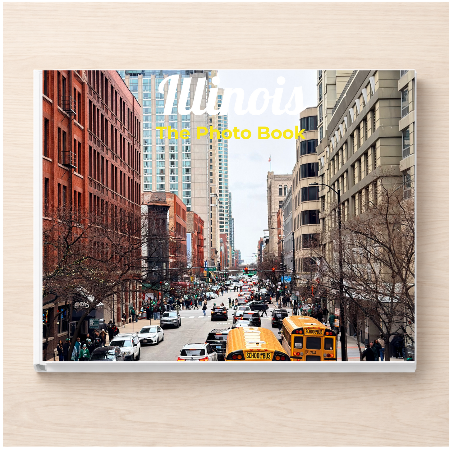 Illinois: The Photo Book