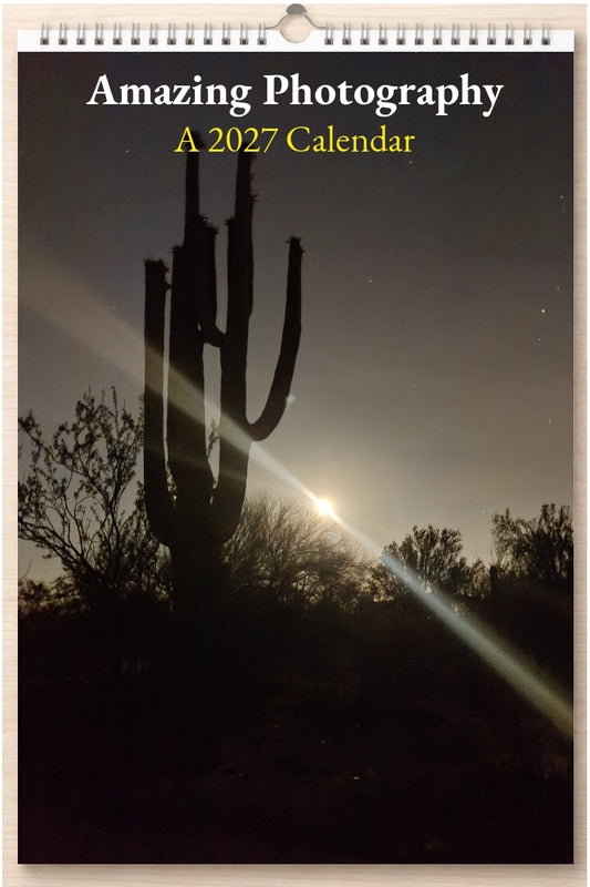 Amazing Photography: A 2027 Calendar