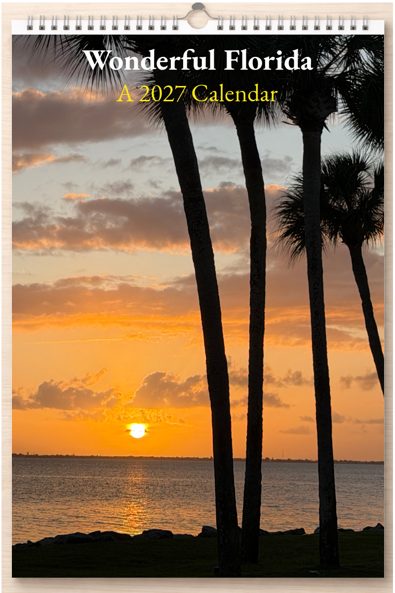 Wonderful Florida: A 2027 Calendar