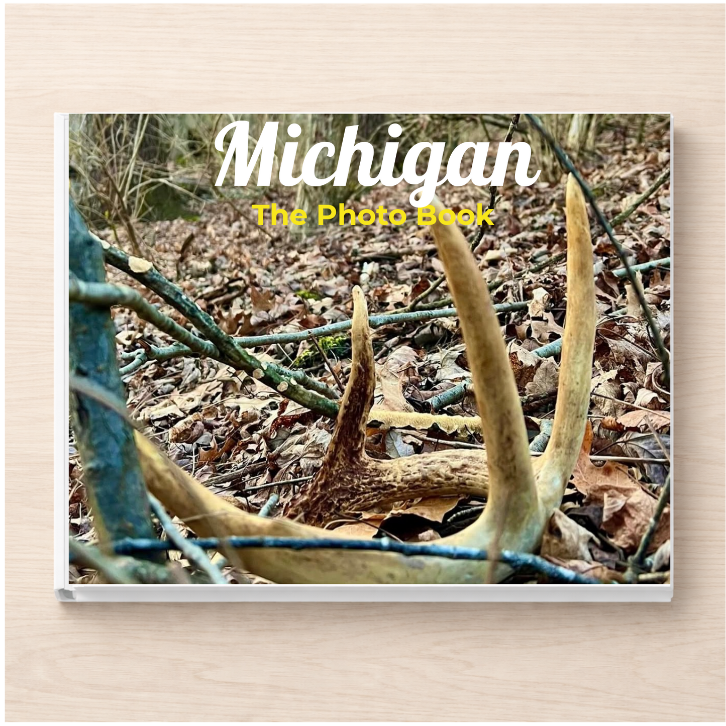 Michigan: The Photo Book