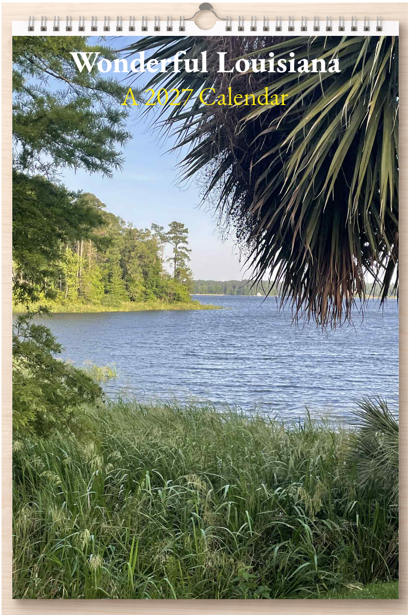 Wonderful Louisiana: A 2027 Calendar