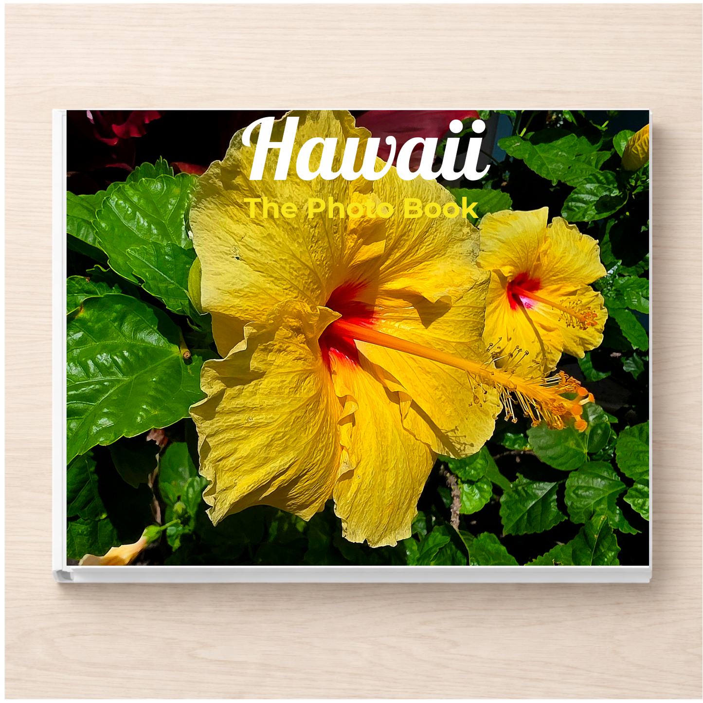 Hawaii: The Photo Book