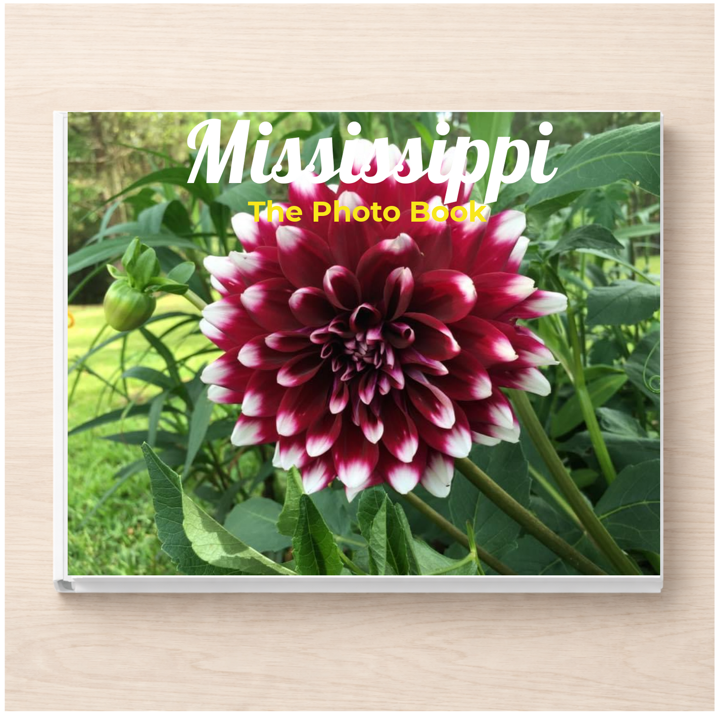 Mississippi: The Photo Book