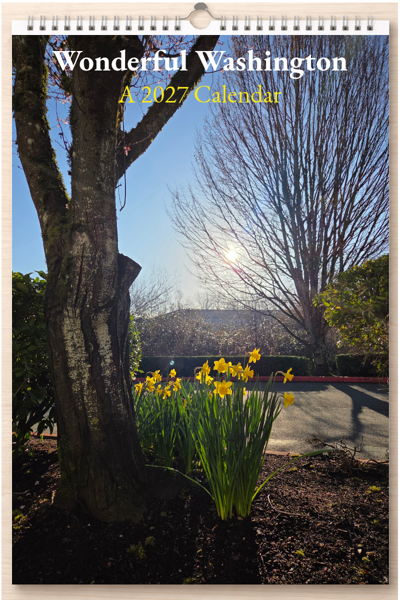 Wonderful Washington: A 2027 Calendar