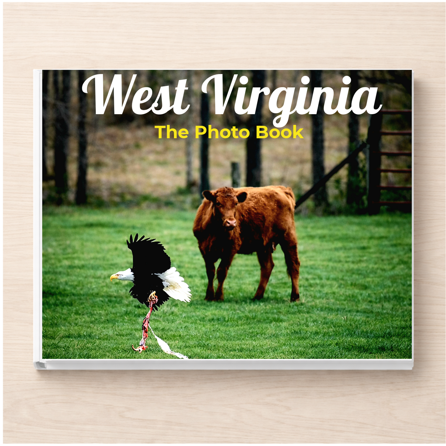 West Virginia: The Photo Book