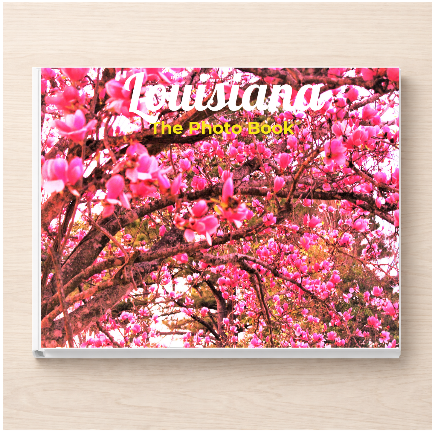 Louisiana: The Photo Book