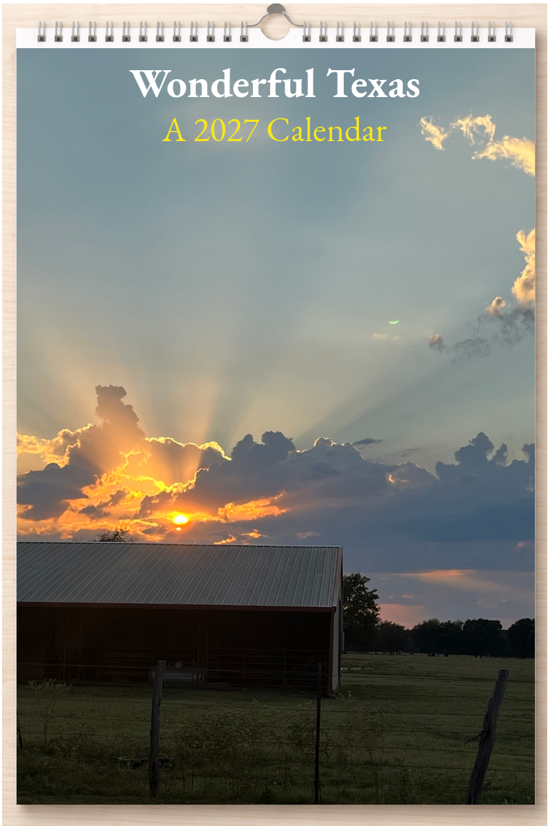 Wonderful Texas: A 2027 Calendar