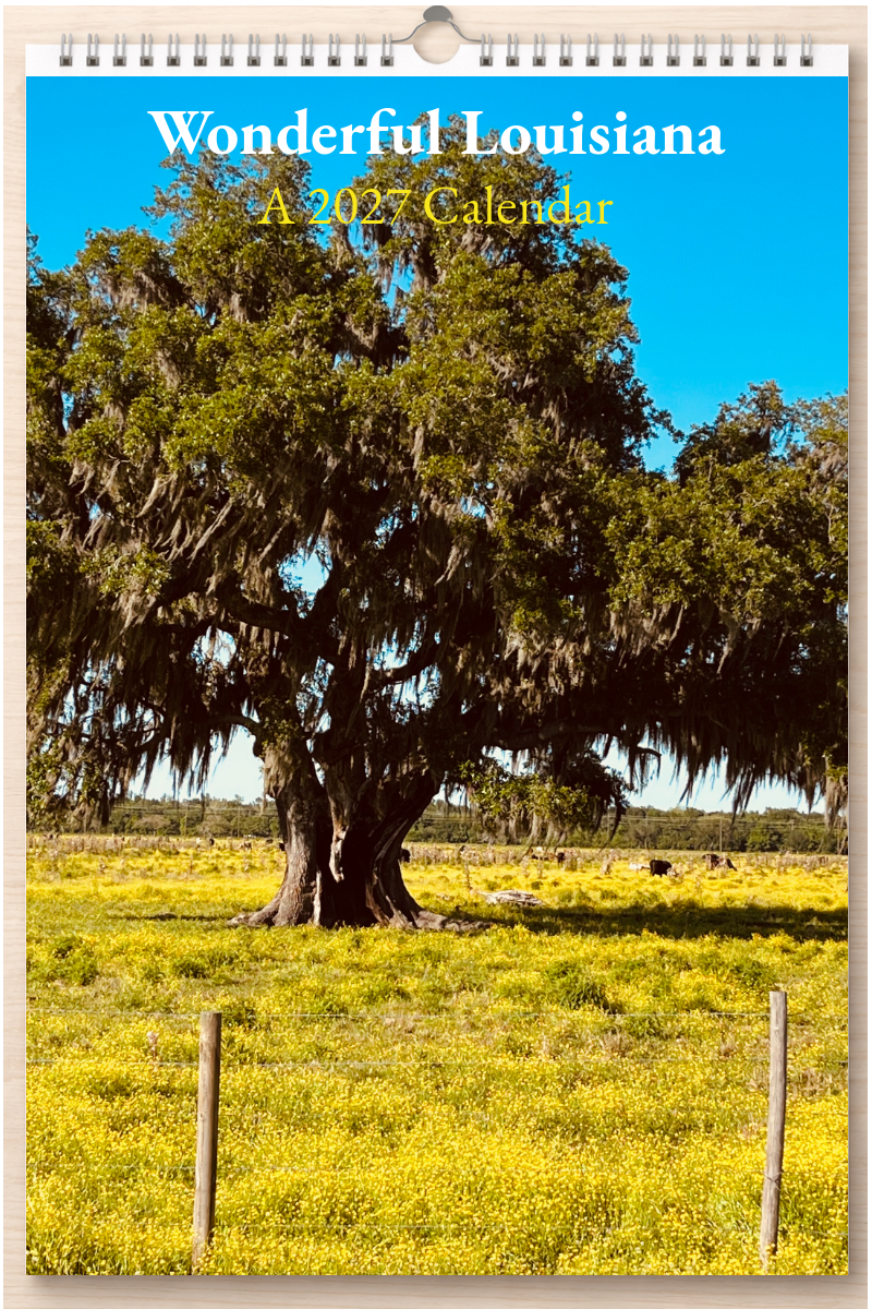 Wonderful Louisiana: A 2027 Calendar