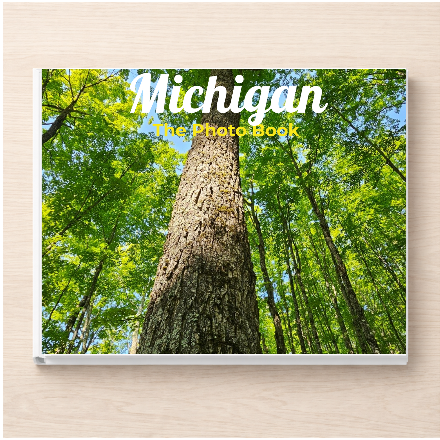 Michigan: The Photo Book