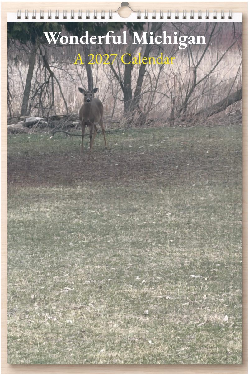 Wonderful Michigan: A 2027 Calendar