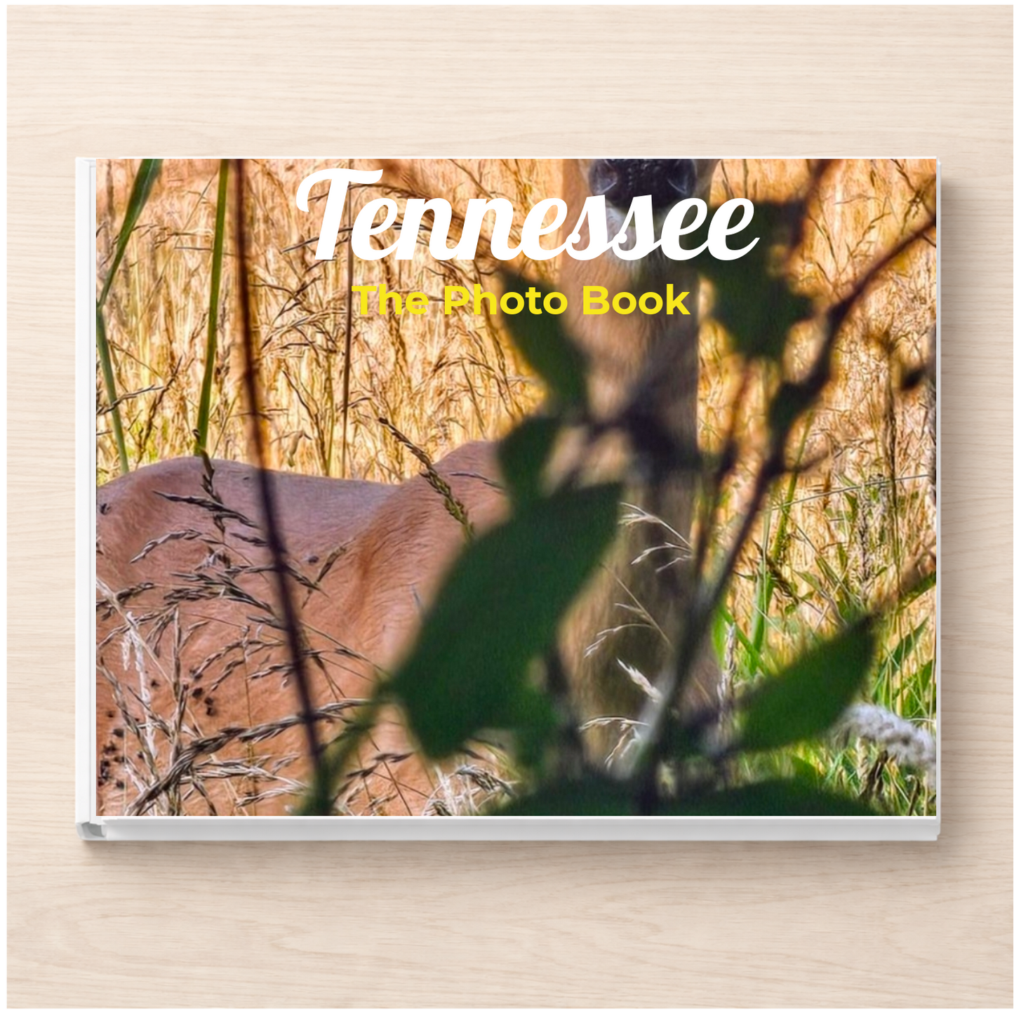 Tennessee: The Photo Book