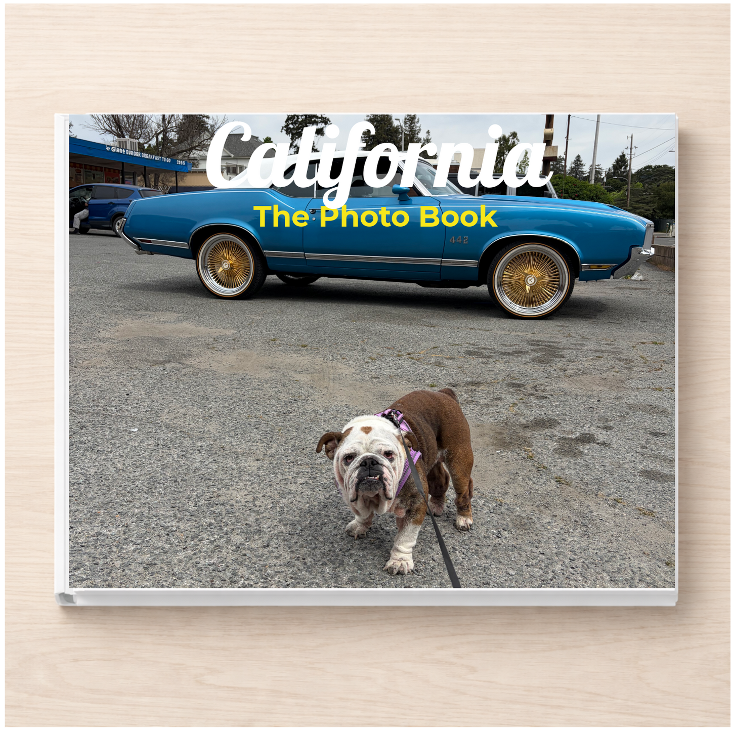 California: The Photo Book