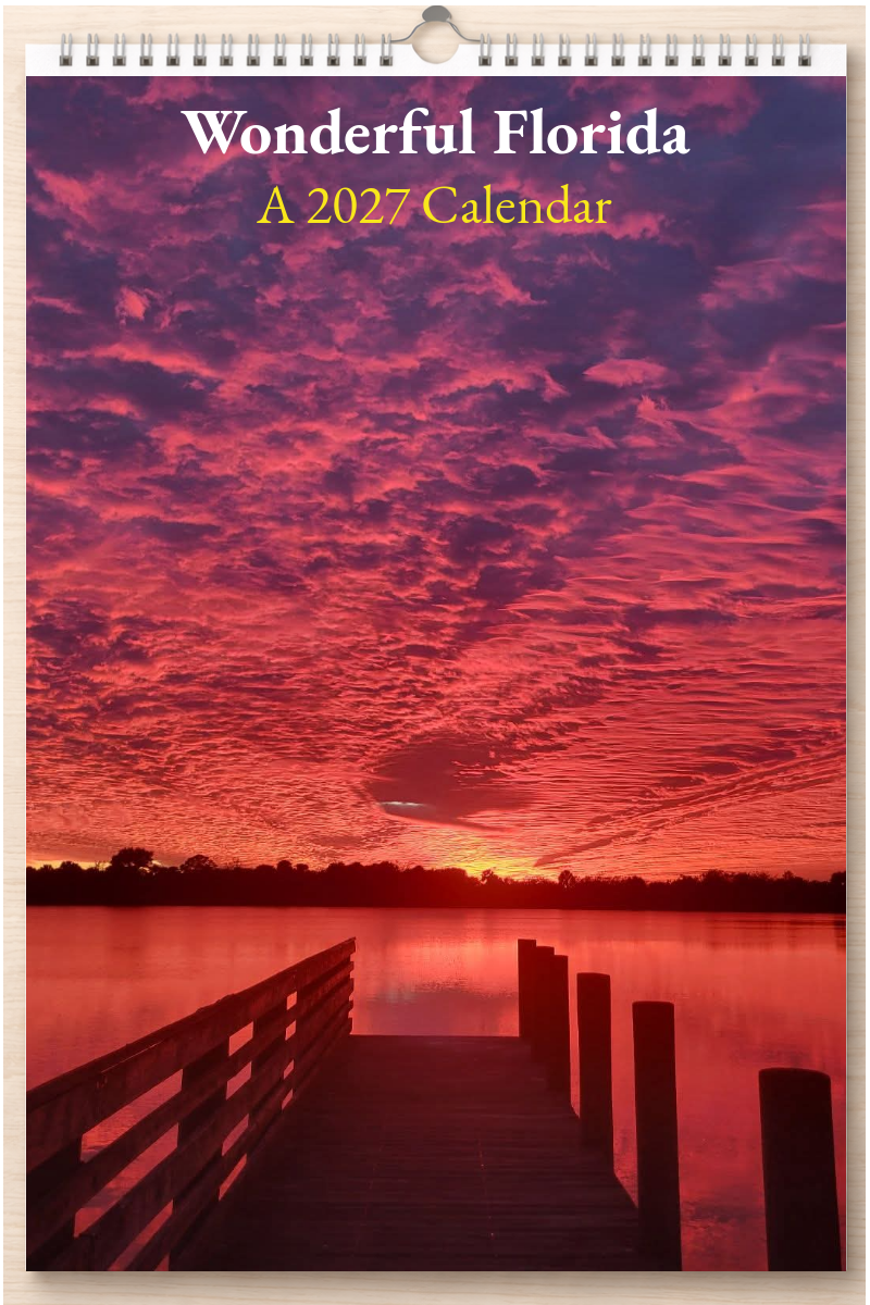 Wonderful Florida: A 2027 Calendar