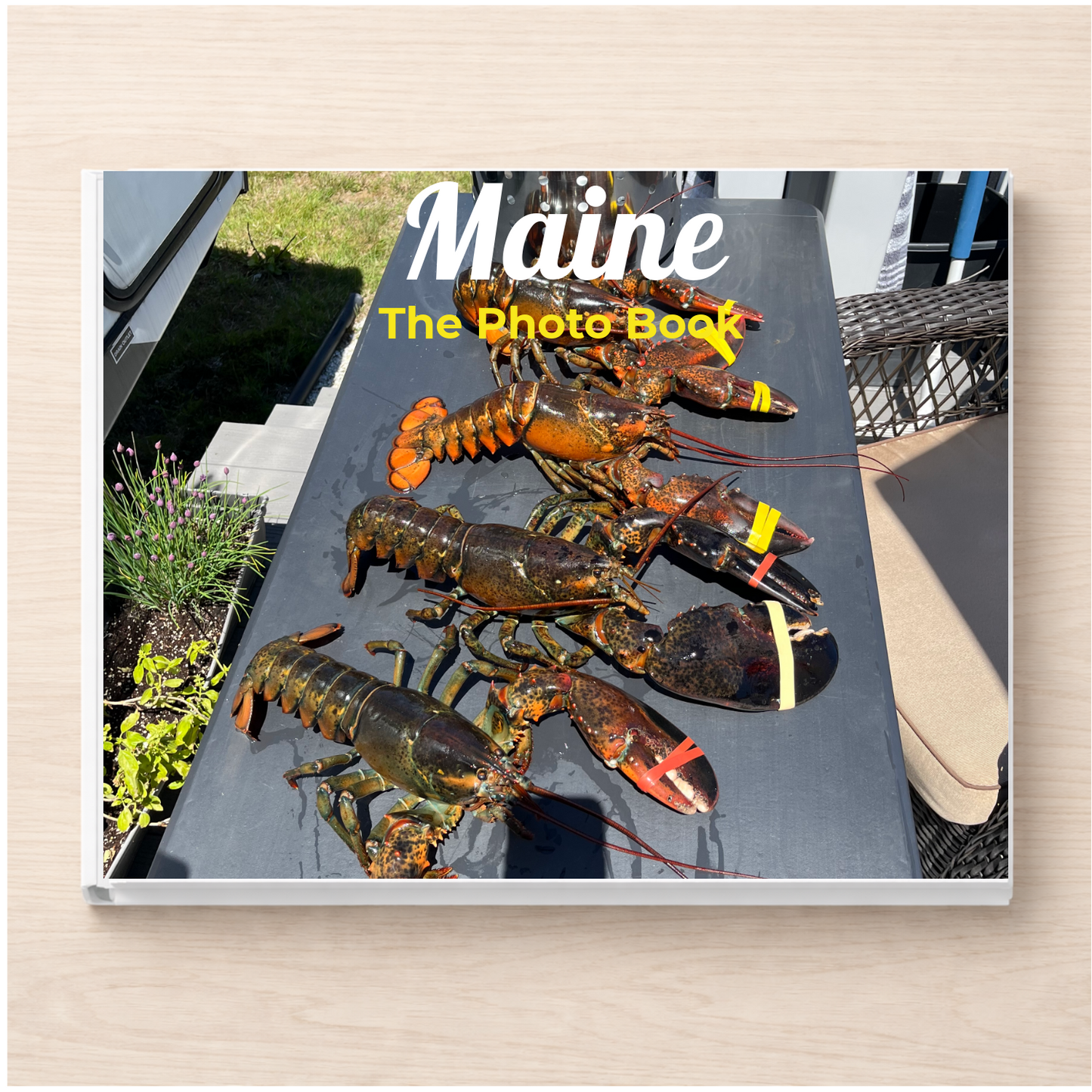 Maine: The Photo Book