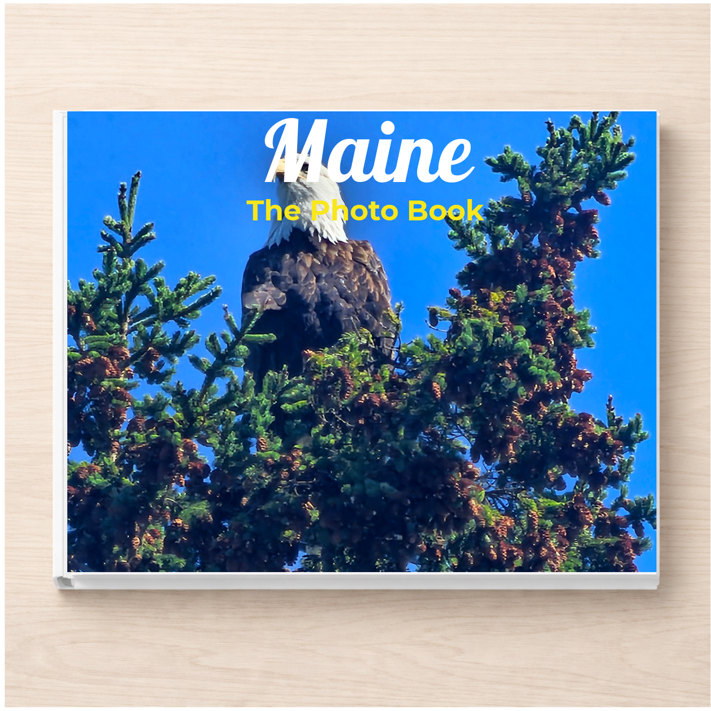 Maine: The Photo Book
