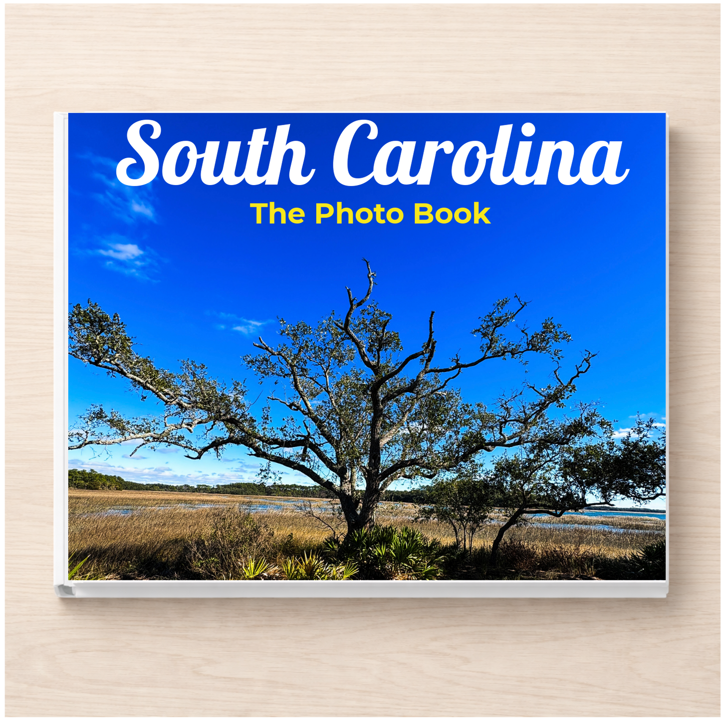South Carolina: The Photo Book