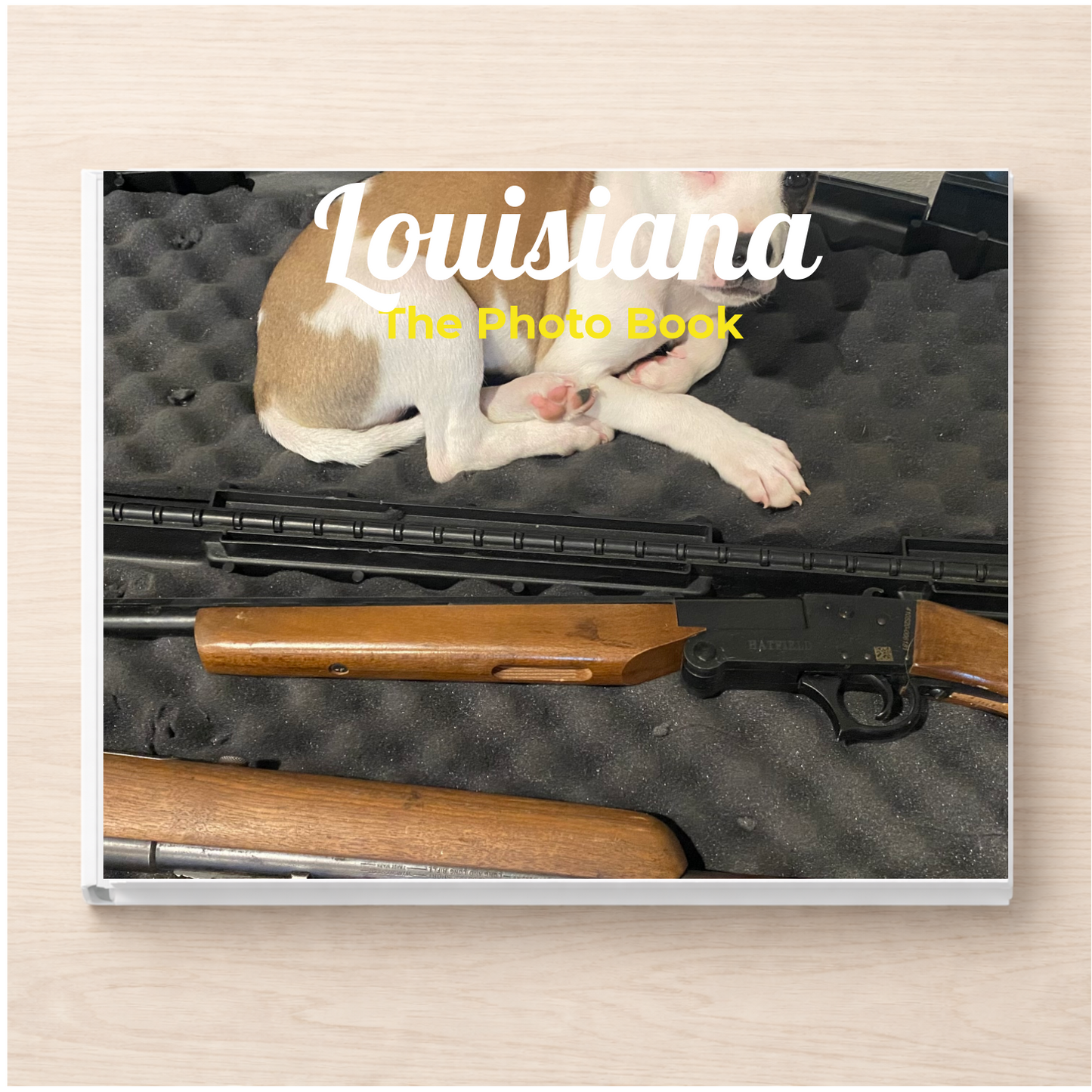 Louisiana: The Photo Book