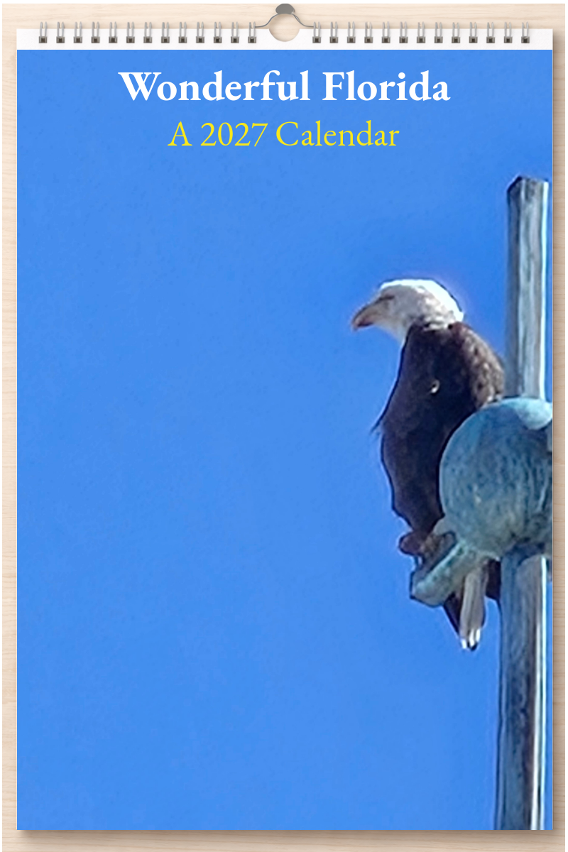 Wonderful Florida: A 2027 Calendar