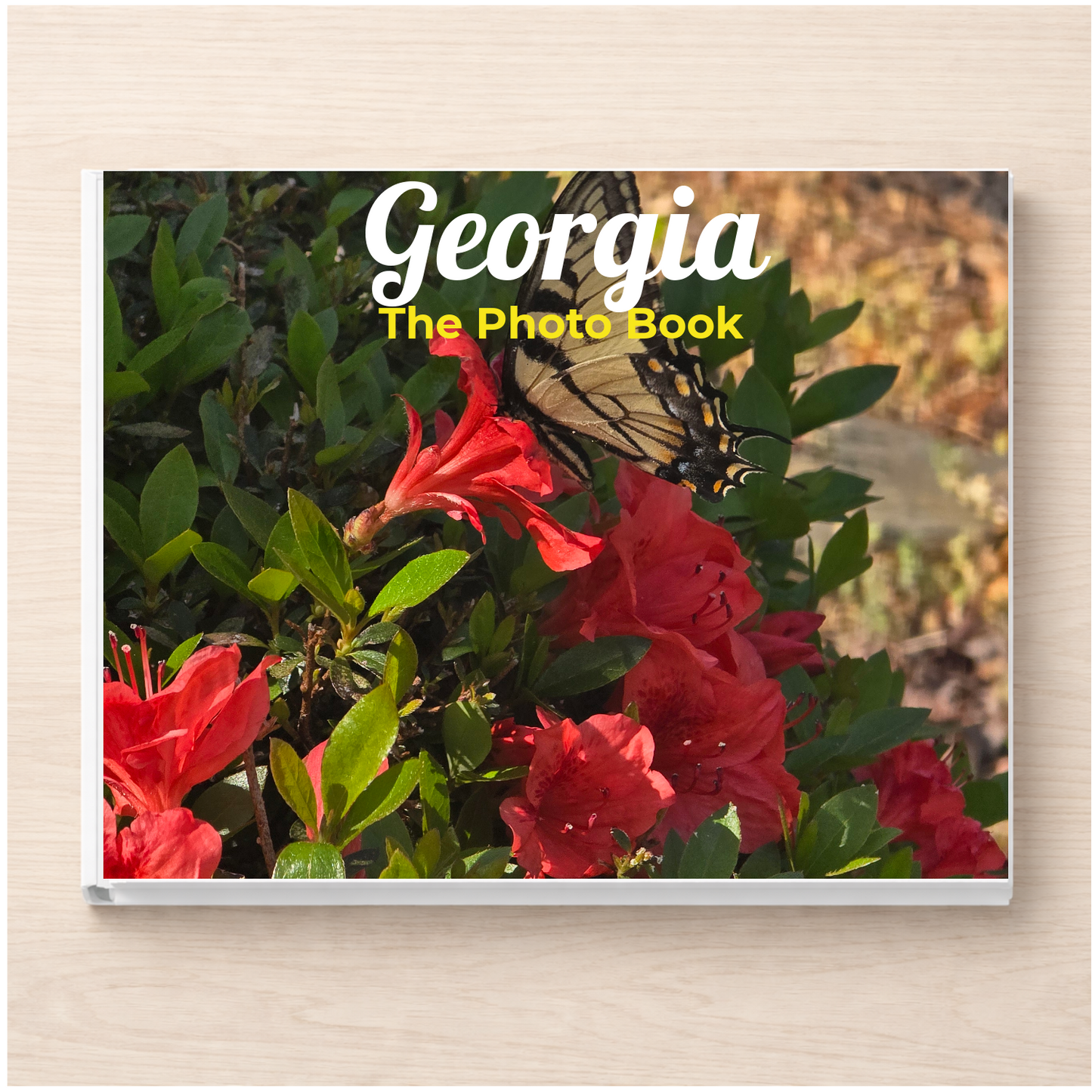 Georgia: The Photo Book