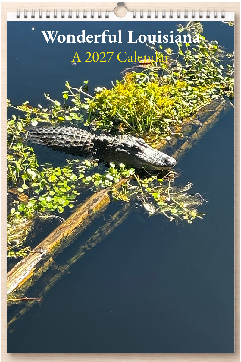 Wonderful Louisiana: A 2027 Calendar
