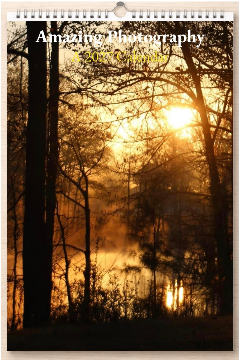 Amazing Photography: A 2027 Calendar