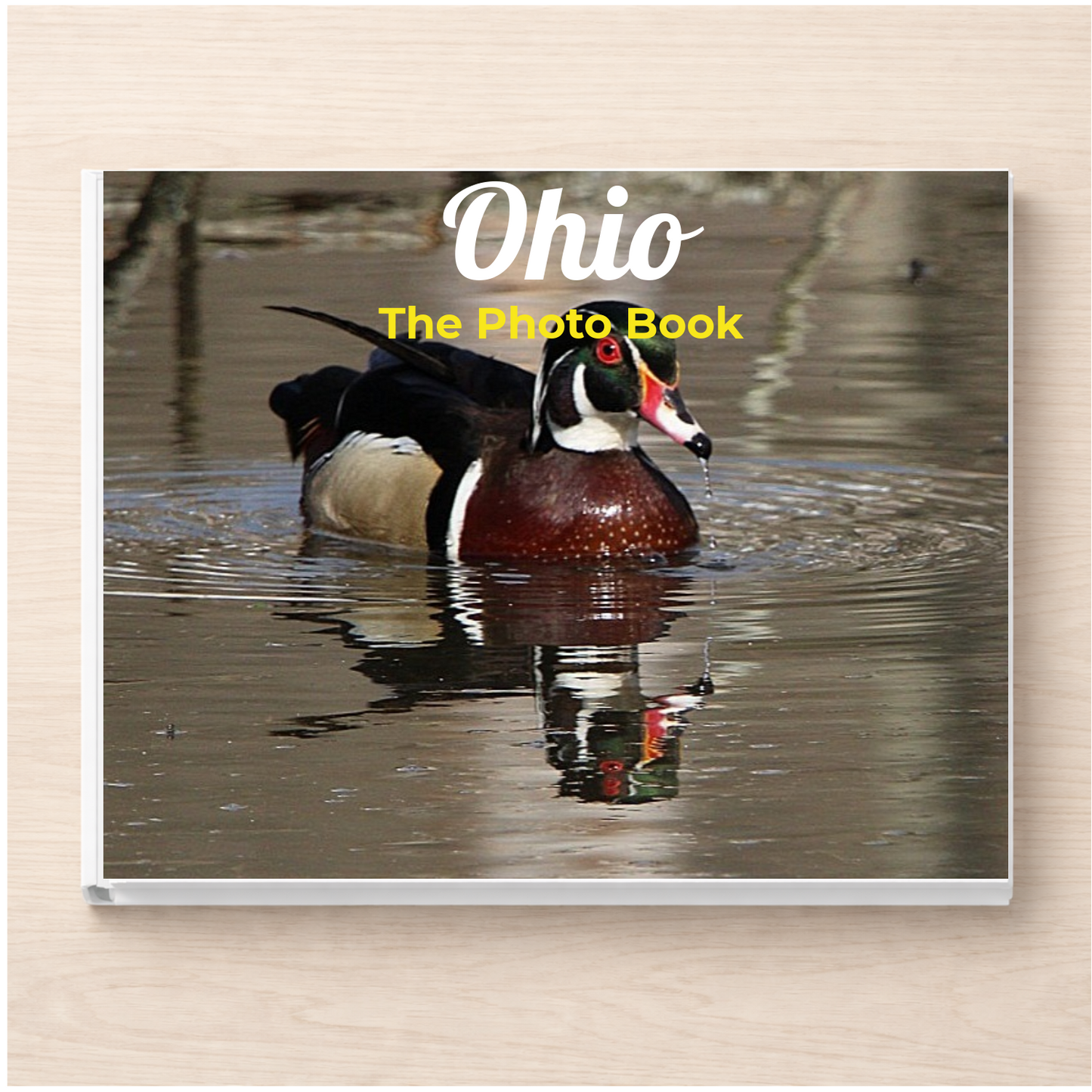 Ohio: The Photo Book
