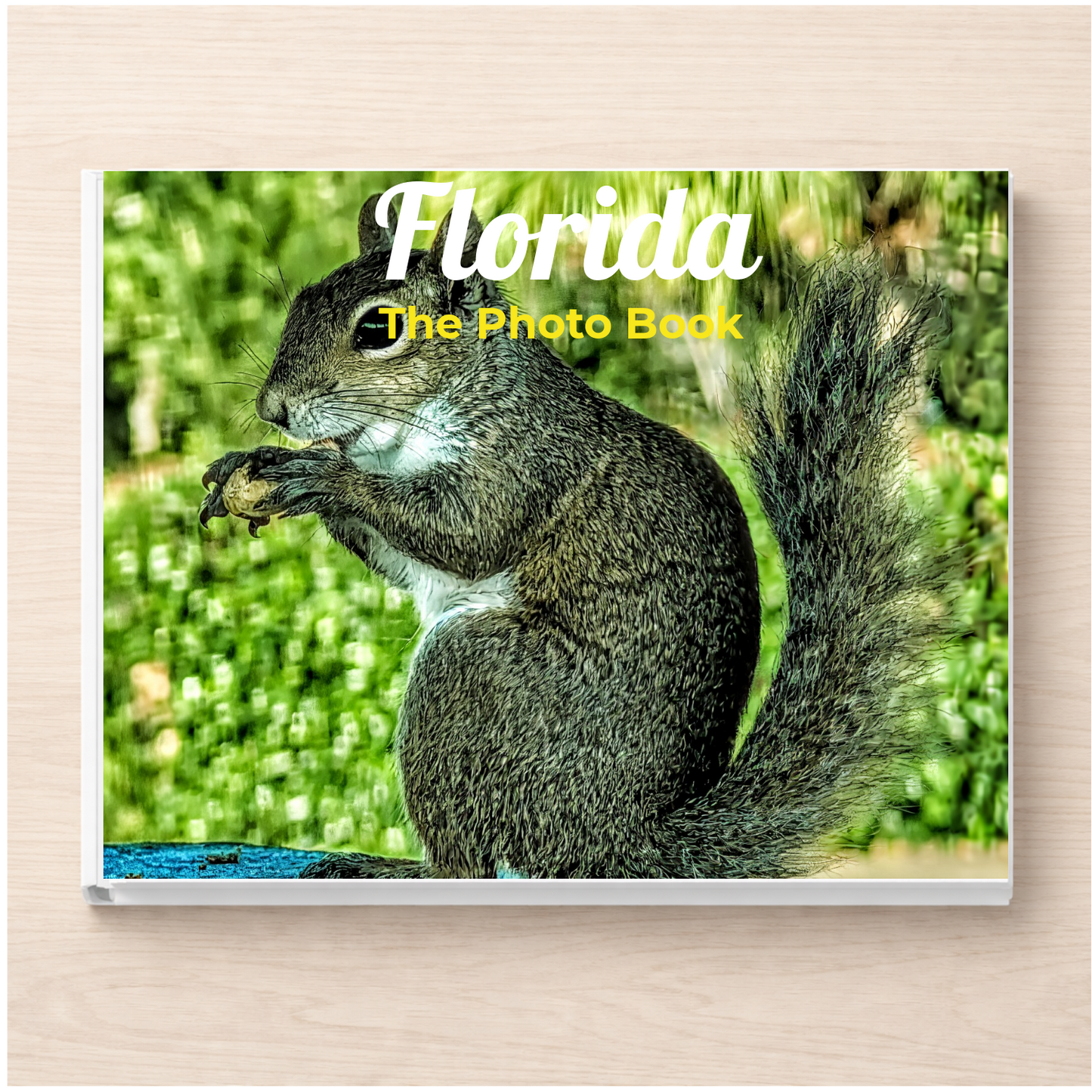 Florida: The Photo Book