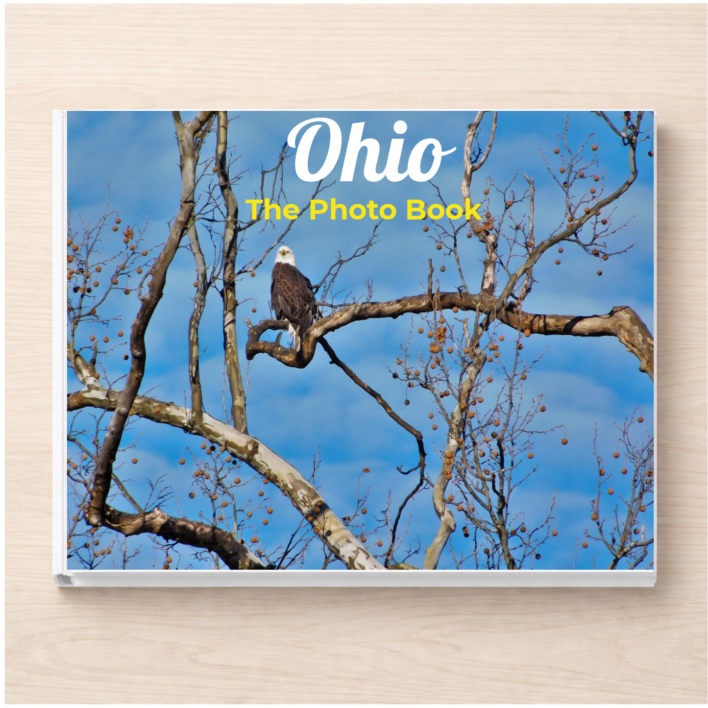 Ohio: The Photo Book