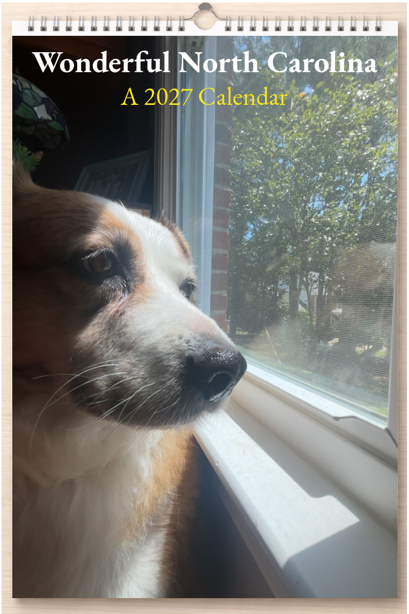 Wonderful North Carolina: A 2027 Calendar