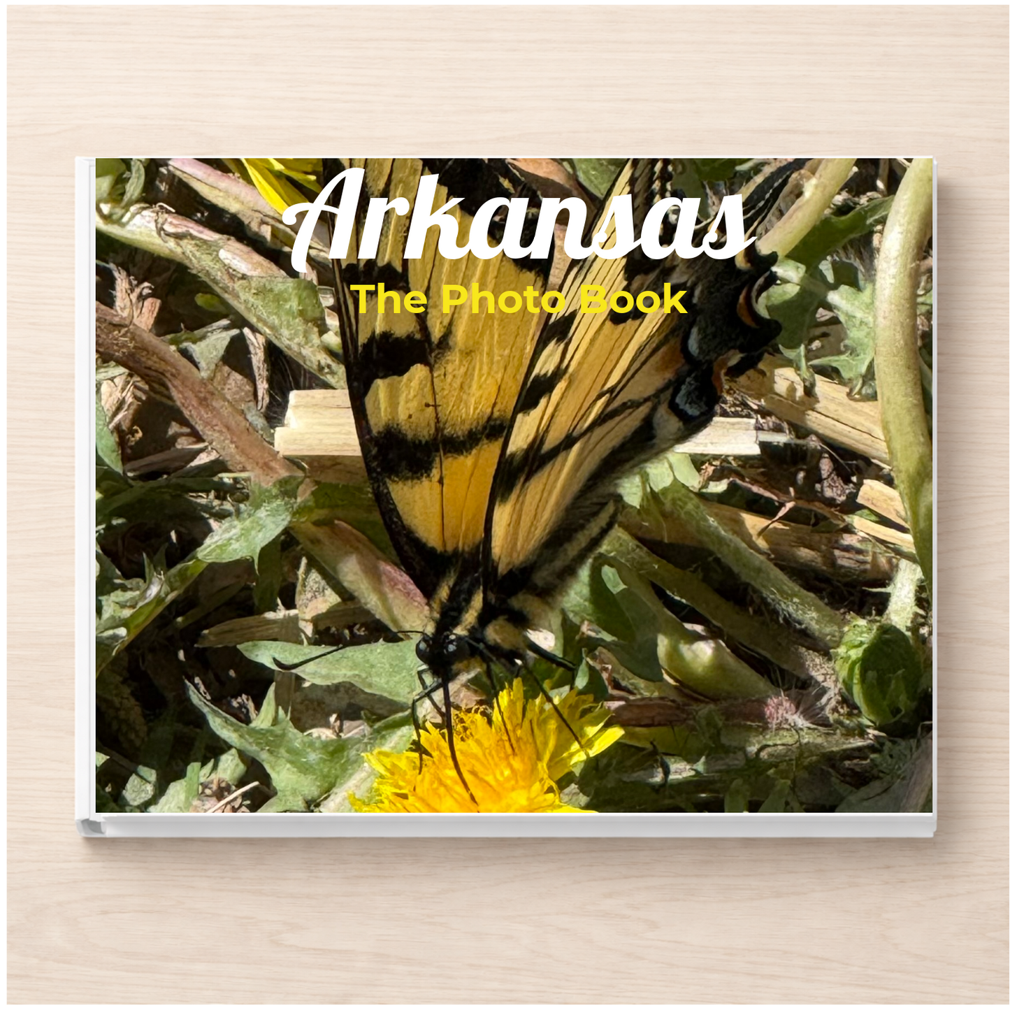 Arkansas: The Photo Book