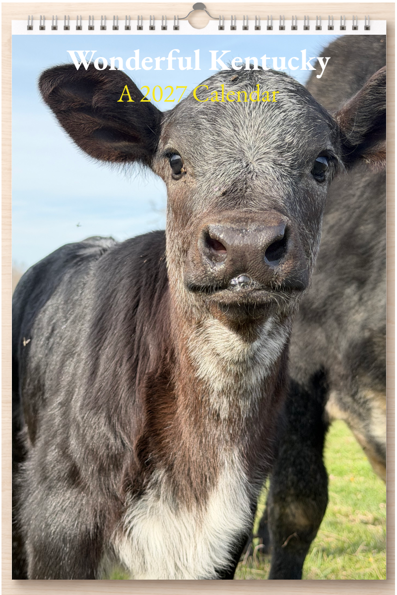 Wonderful Kentucky: A 2027 Calendar