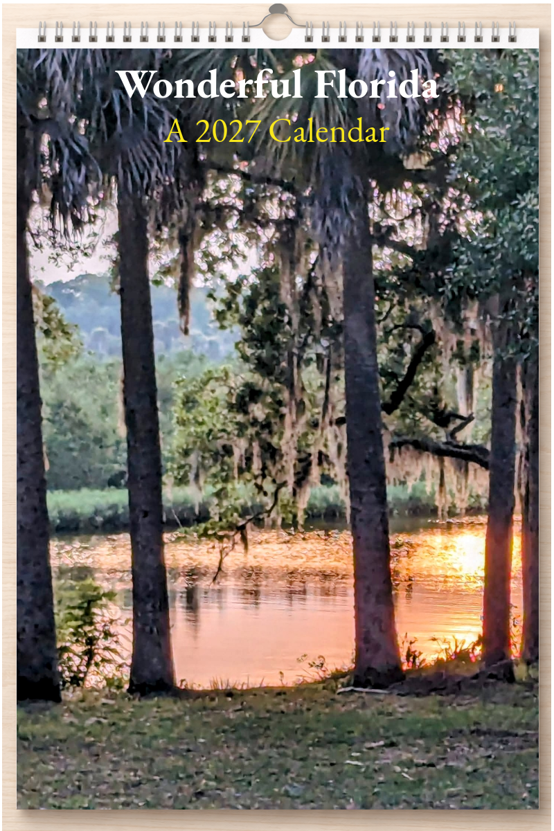 Wonderful Florida: A 2027 Calendar