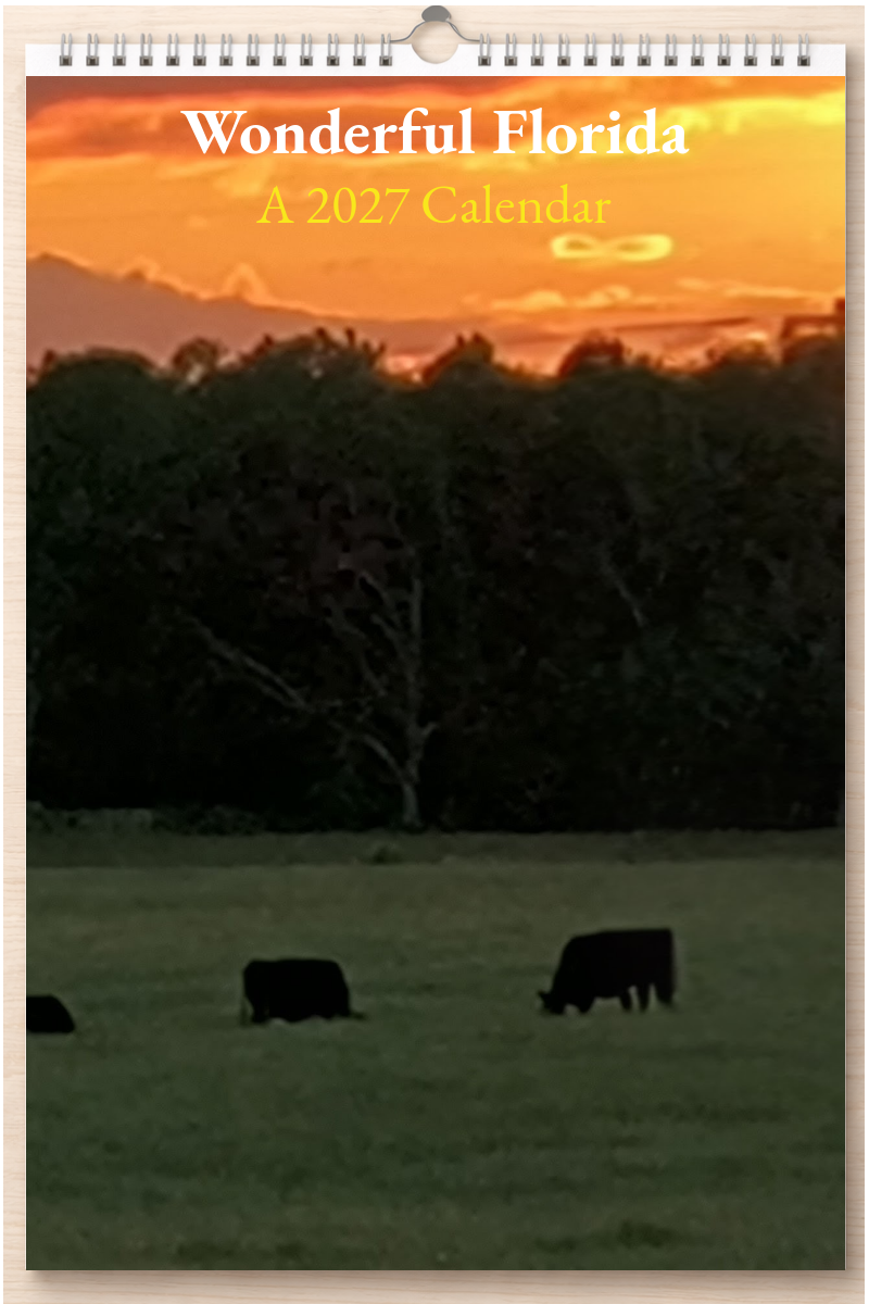 Wonderful Florida: A 2027 Calendar