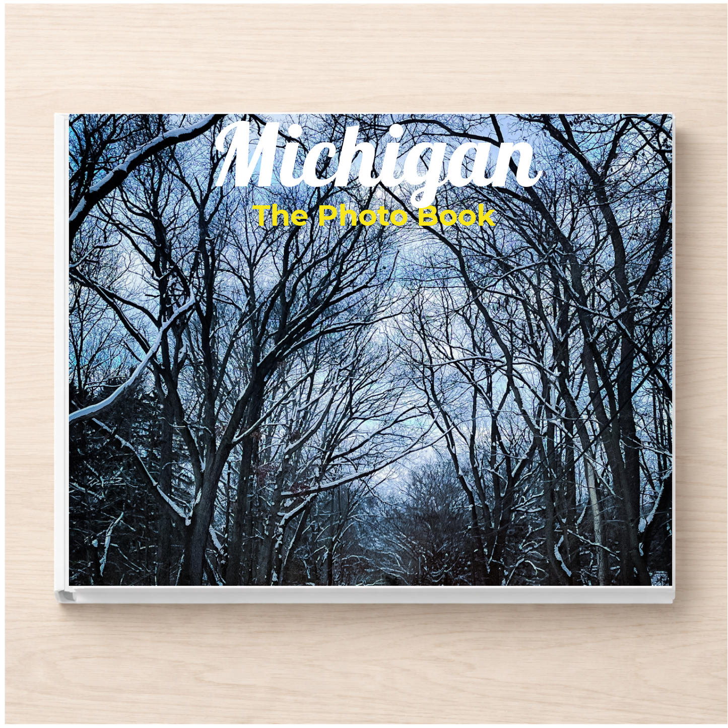 Michigan: The Photo Book