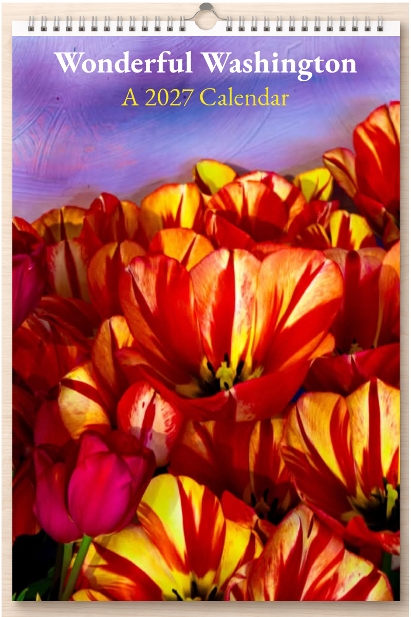 Wonderful Washington: A 2027 Calendar