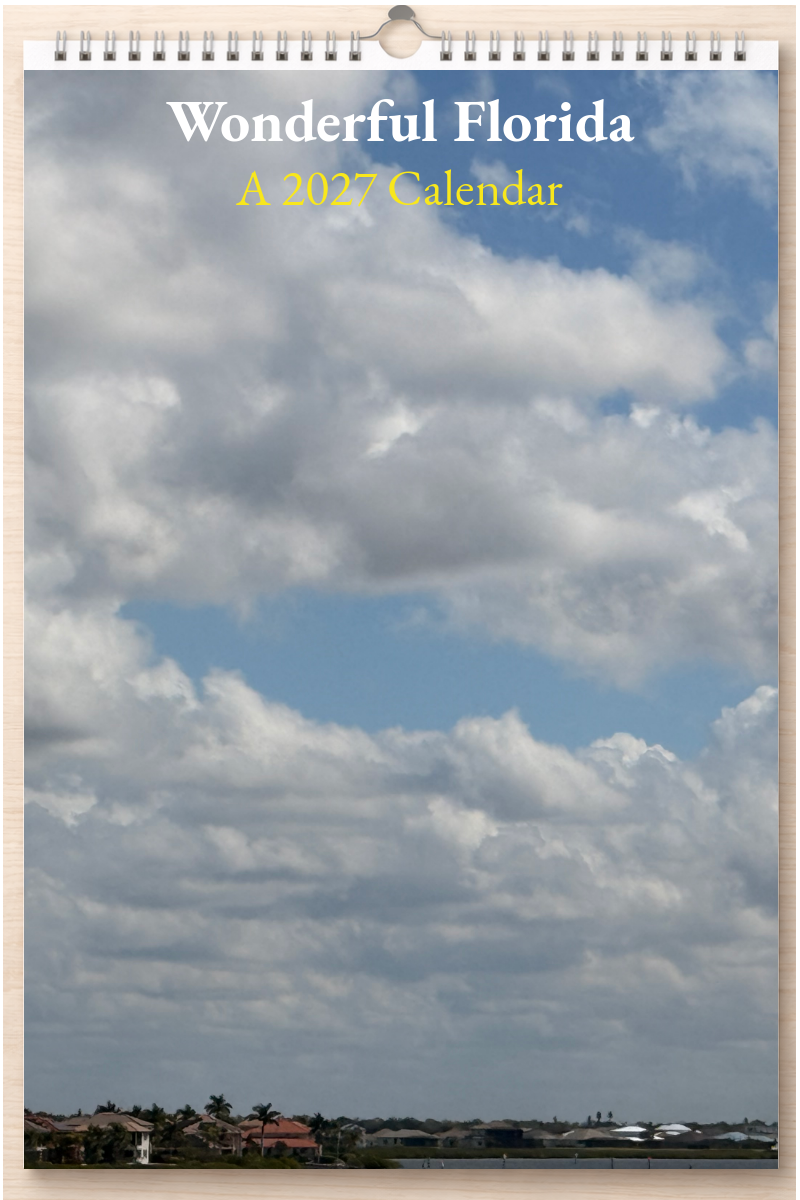 Wonderful Florida: A 2027 Calendar