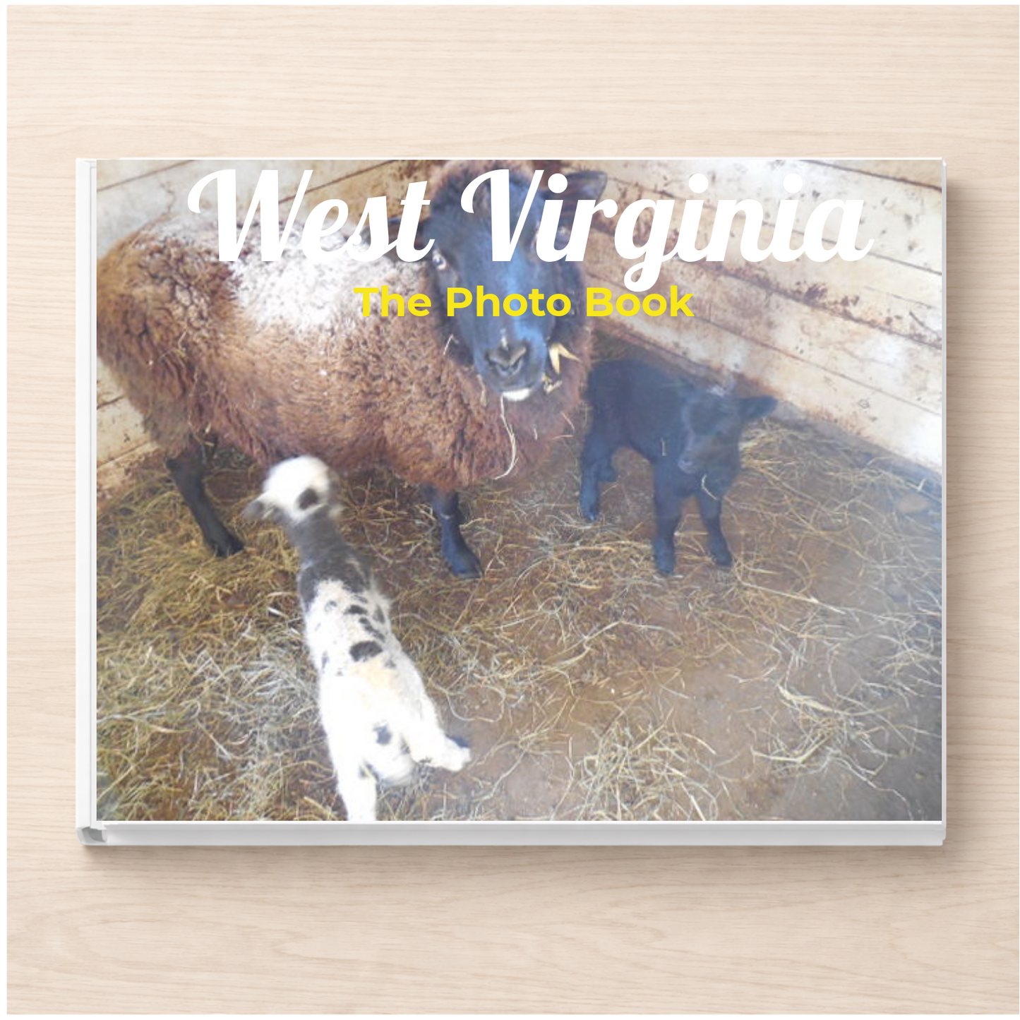 West Virginia: The Photo Book