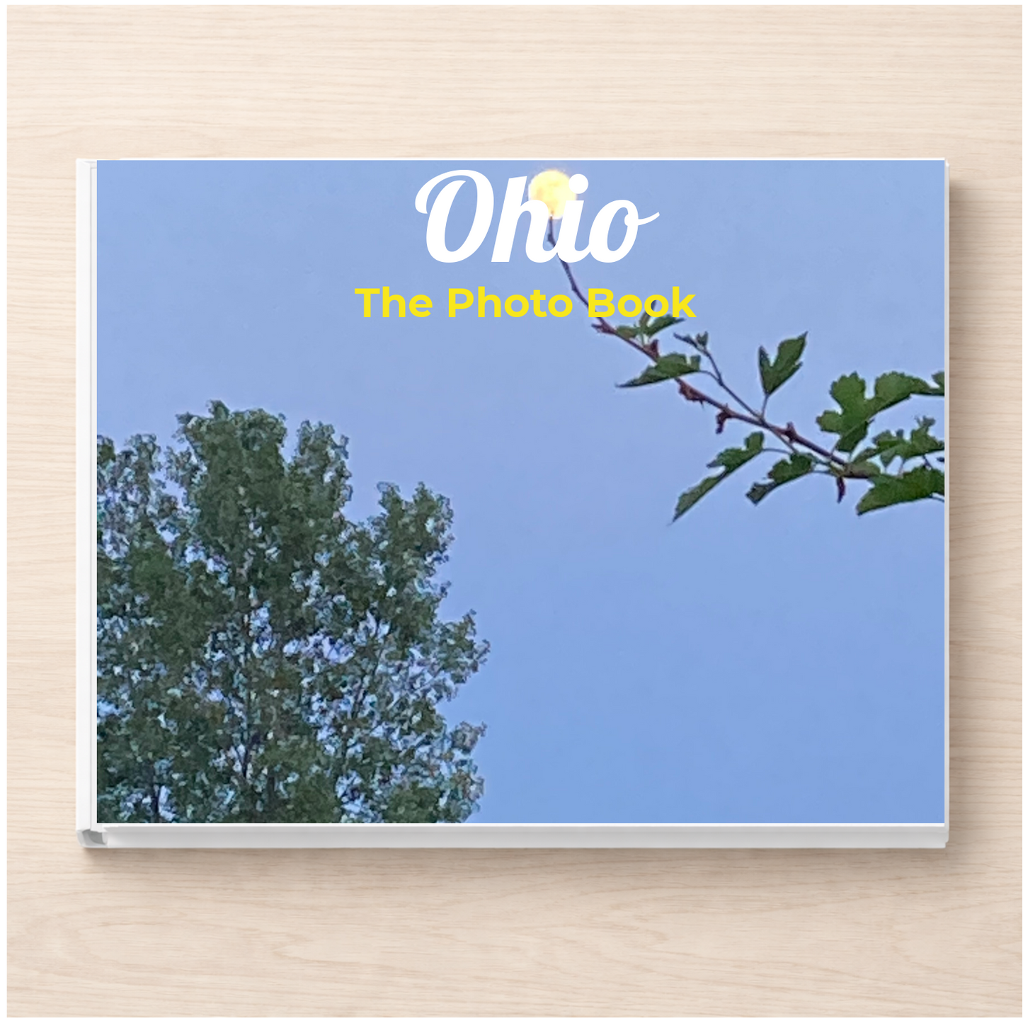 Ohio: The Photo Book