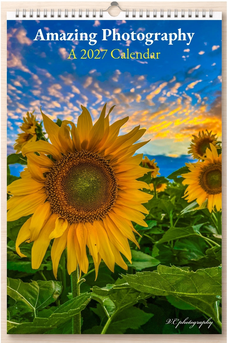 Amazing Photography: A 2027 Calendar