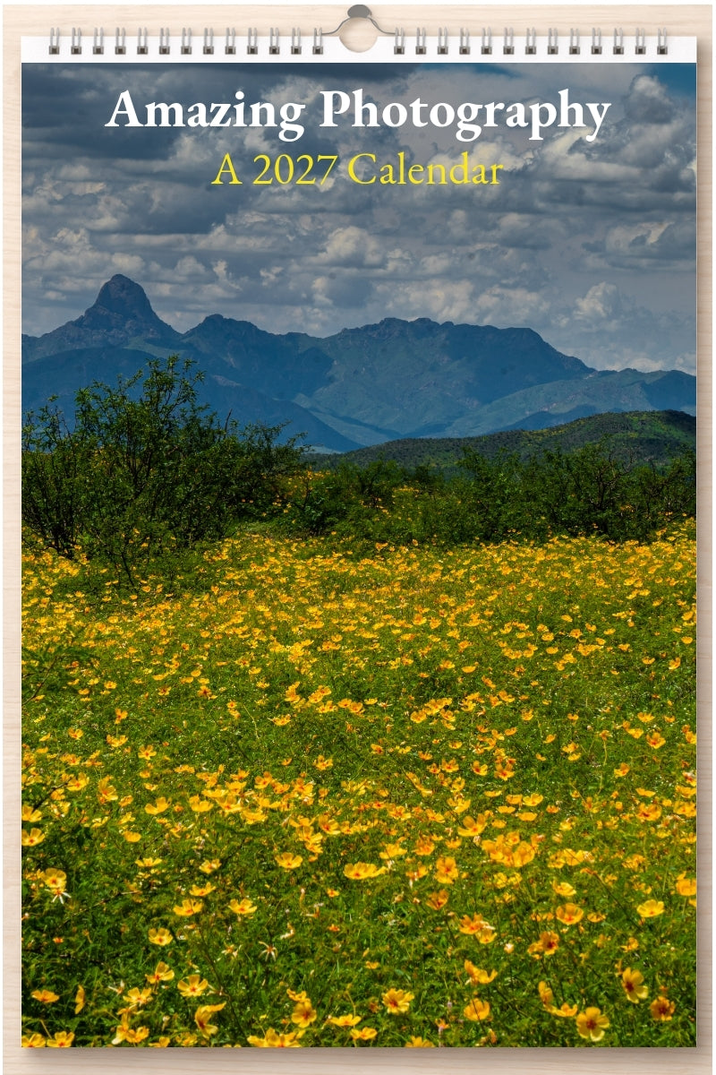 Amazing Photography: A 2027 Calendar