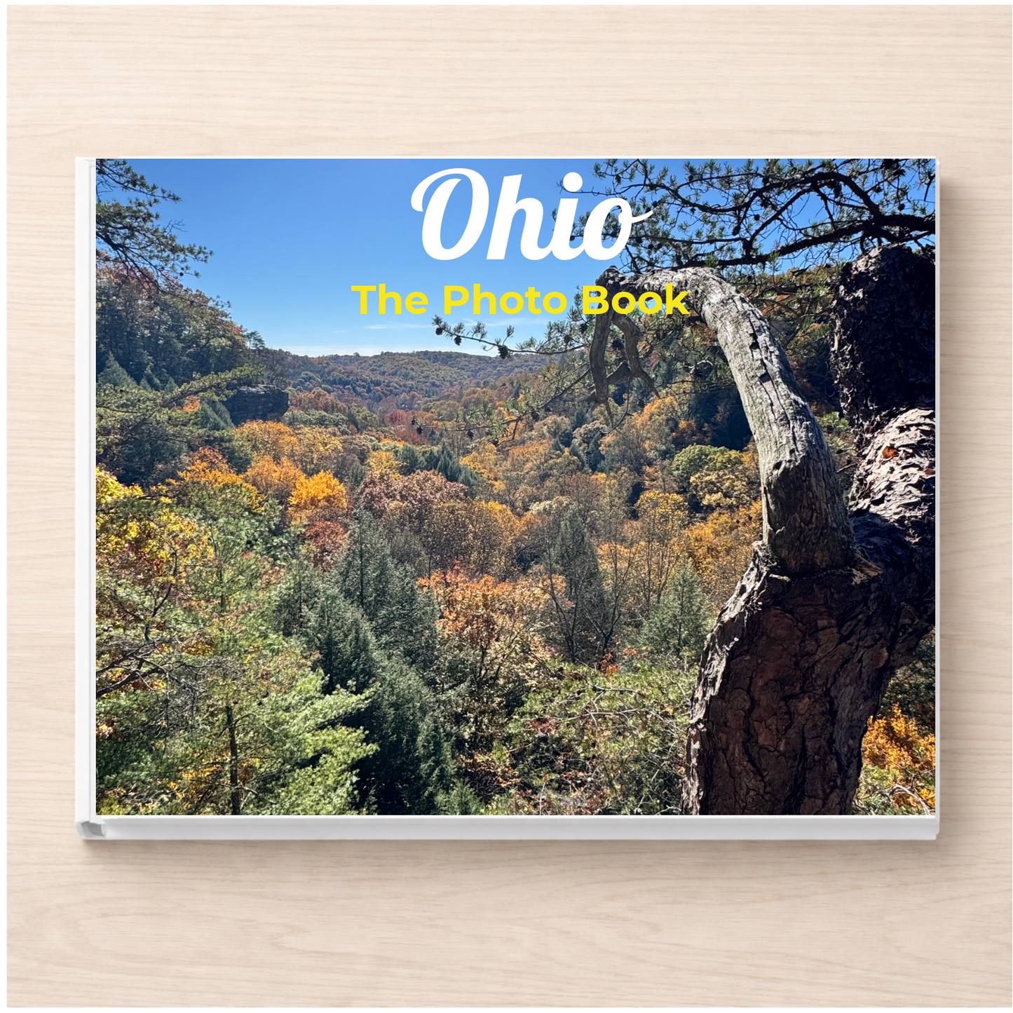 Ohio: The Photo Book