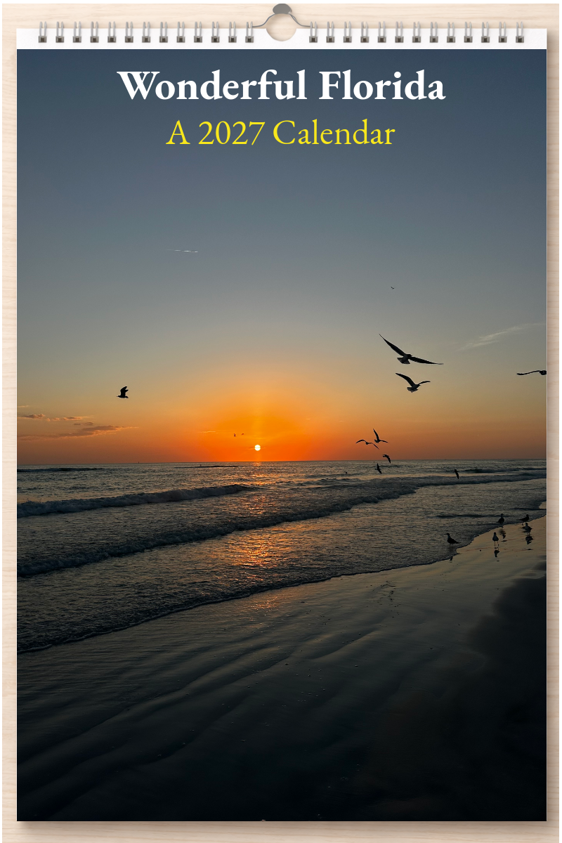 Wonderful Florida: A 2027 Calendar