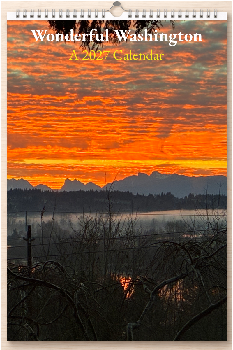 Wonderful Washington: A 2027 Calendar