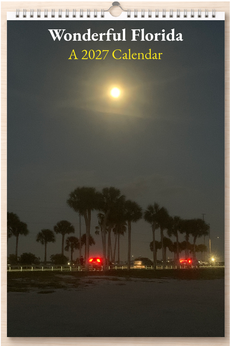 Wonderful Florida: A 2027 Calendar