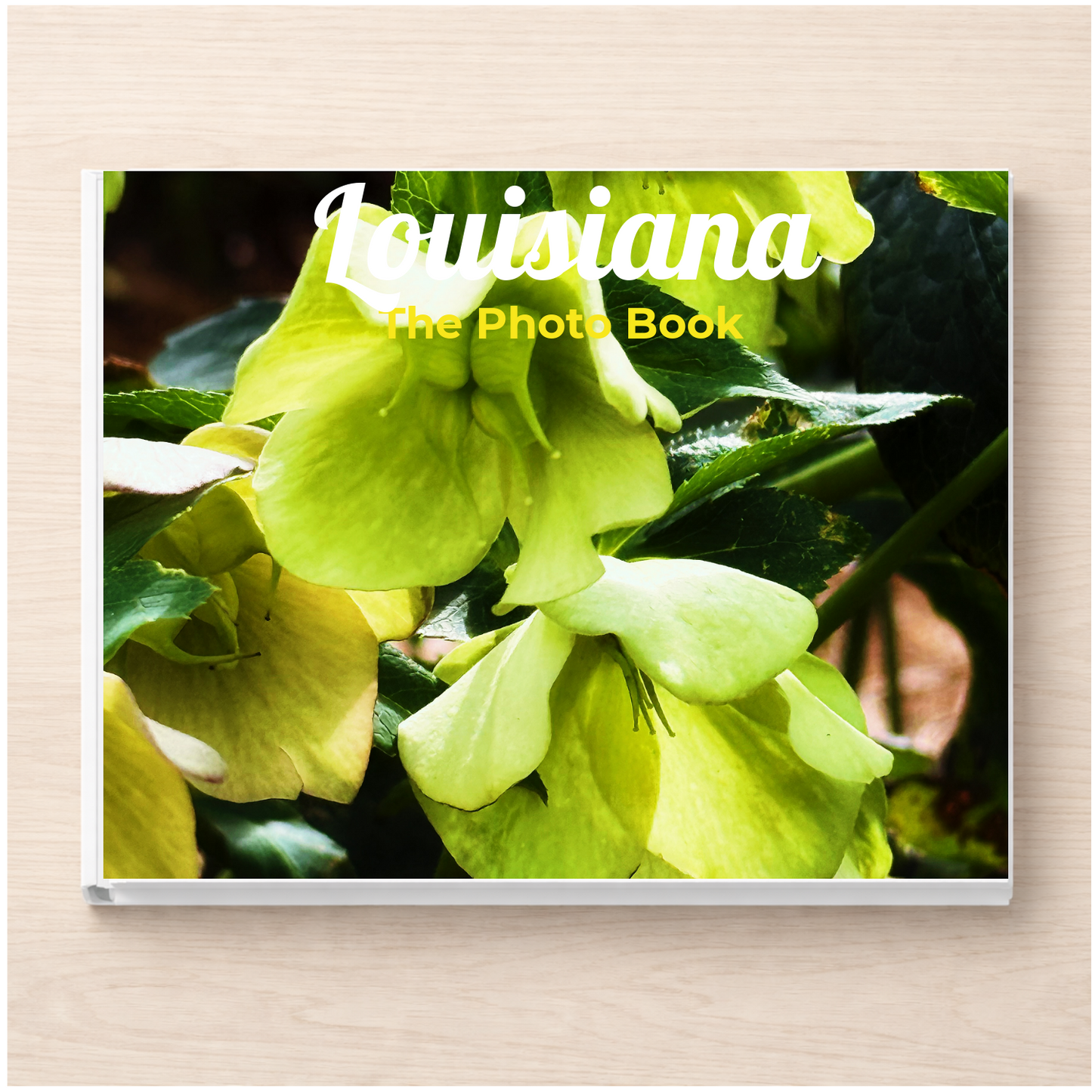 Louisiana: The Photo Book